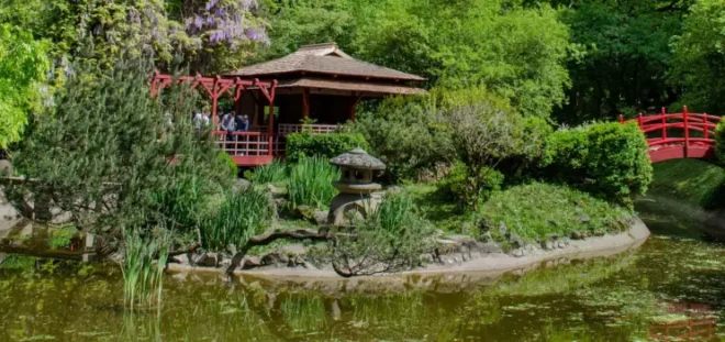 Gradina Botanica Alexandru Borza Cluj, a primit distinctia Travelers choice Best of the best