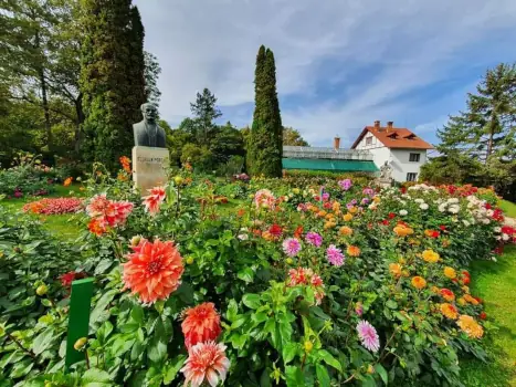 numar record de vizitatori la gradina botanica Cluj
