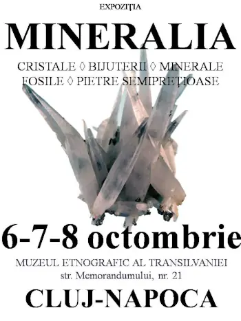 expozitia mineralia la Cluj