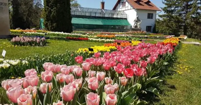 gradina botanica din Cluj, una din principalele atractii ale Clujului