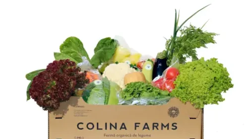 Colina Farms - Fermă organică de legume 
