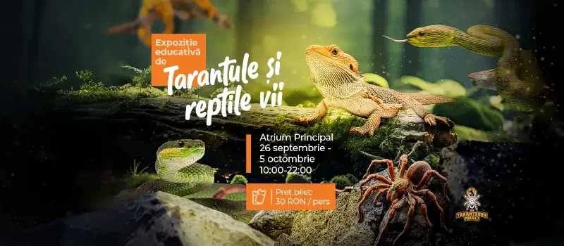 Tarantule și Reptile Vii la Iulius Mall Cluj (26 sept – 5 oct 2025)