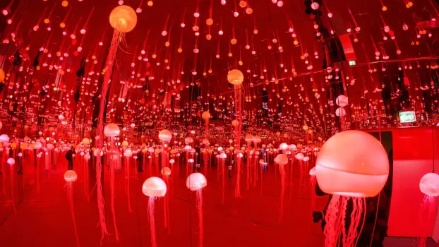 MINA Cluj – Muzeul de Artă Imersivă | Cluj-Napoca