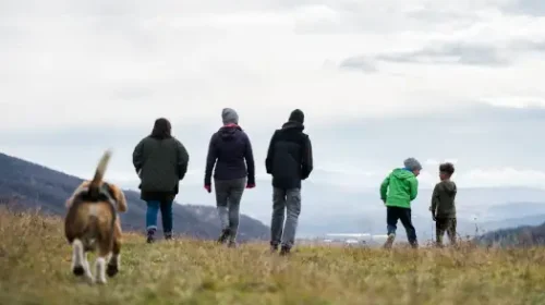 Sălicea, satul care își spune poveștile printr-o hartă vie – platforma lansată de Asociația Grassroot-ology