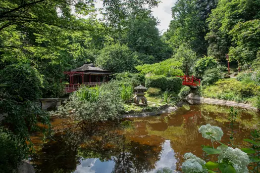 Grădina Botanică din Cluj, magnet pentru public: peste 200.000 de vizitatori în 2025