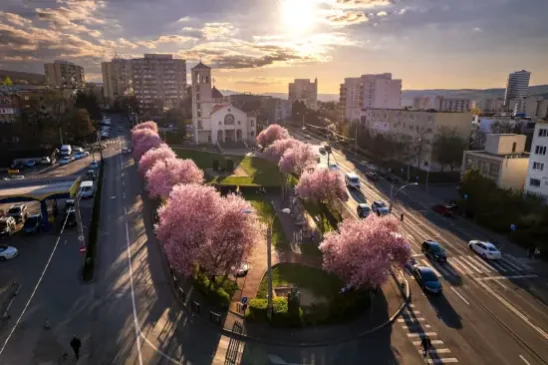 Clujul a înflorit – orașul arată spectaculos zilele acestea