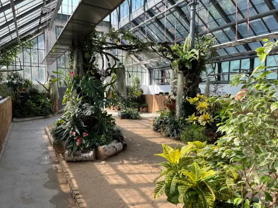 Plante care „vânează”, la Grădina Botanică din Cluj. Peste 200 de exemplare pot fi admirate în noua expoziție